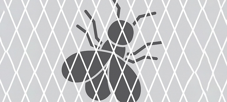 Immagine rete anti-insetti