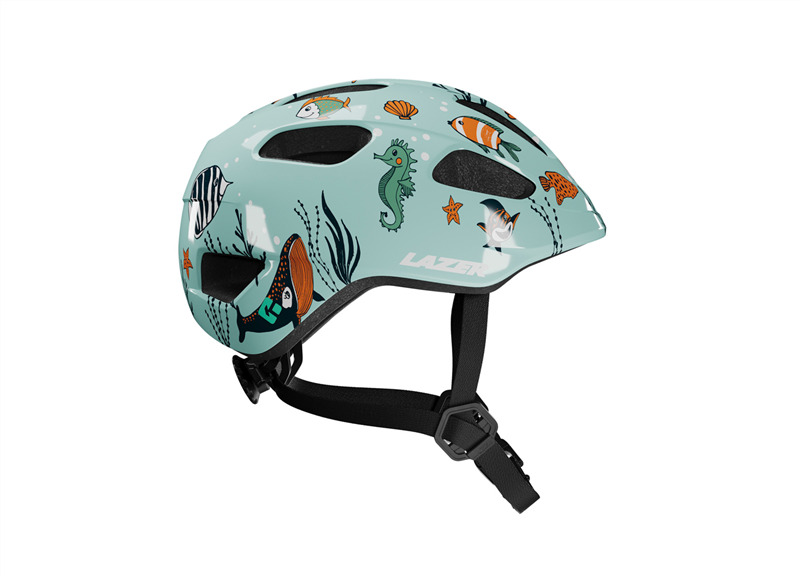 Sealife