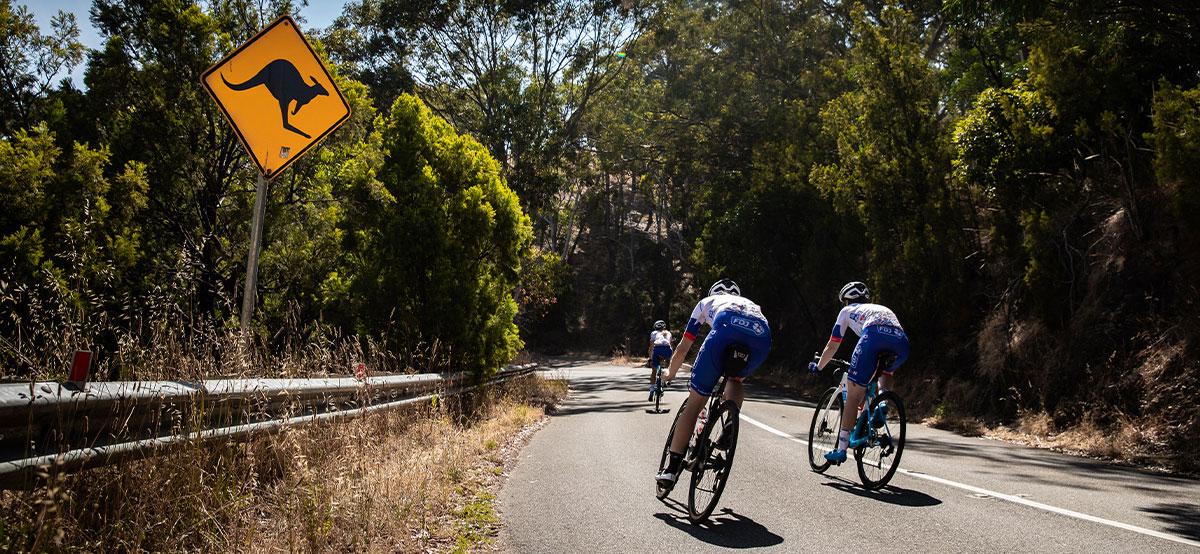 foran lejr tunnel Om at være en australsk cykelrytter i en europæisk verden. | Lazer